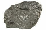 Red Embers Garnet in Graphite - Massachusetts #313629-1